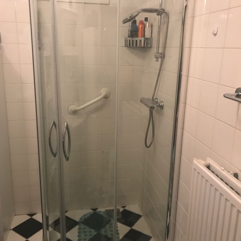 Repareren: Douche