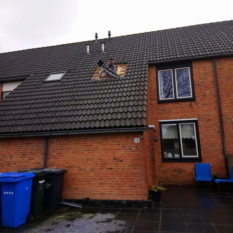 Dakraam badkamer vervangen