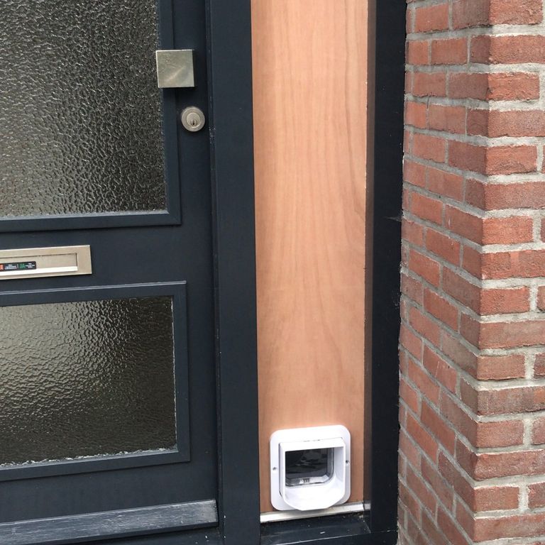 Raamkozijn vervangen door hout ivm plaatsen kattenluik