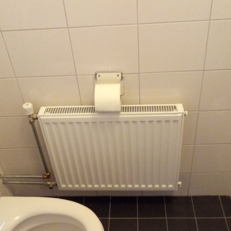 Radiatioren plaatsen of vervangen: 1 radiator; Nieuwe radiatoren pl...