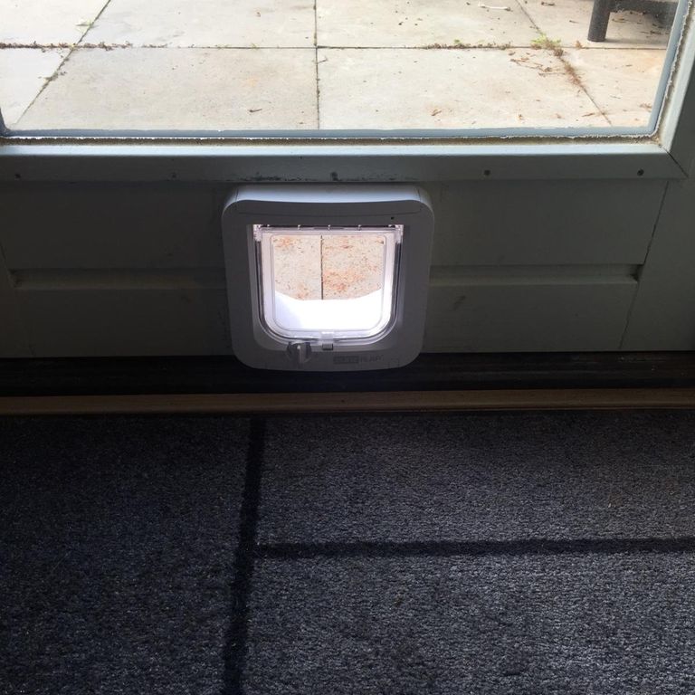 Kattenluik in glas plaatsen? Vind de juiste klusbedrijf Werkspot