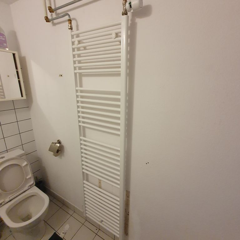 Radiatioren plaatsen of vervangen: 5 radiatoren; Nieuwe radiatoren...