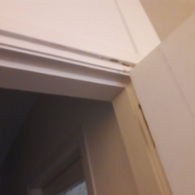 Binnendeuren: 1 deur; Standaard deur