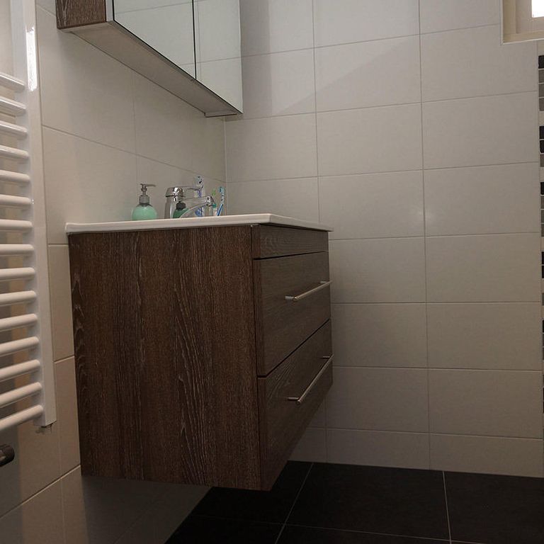 Kleine (230 x 200cm) badkamer renoveren