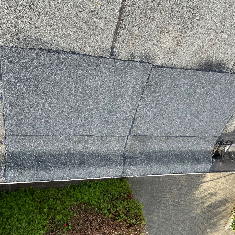 Dak of dakgoot repareren: 1 m2; Dak; Reparaties