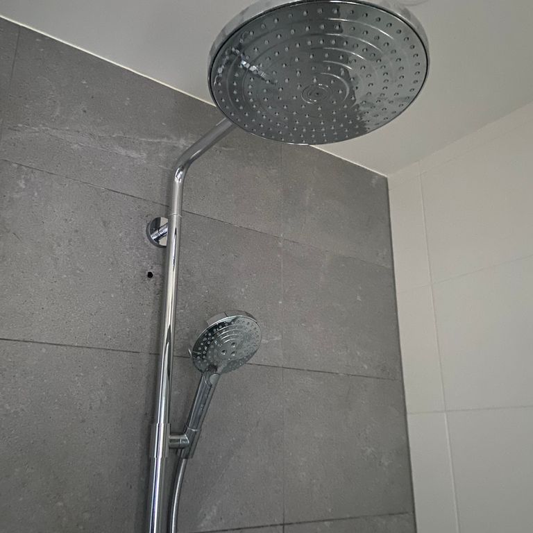 Kraan: 1 kraan; Badkamer; Kranen installeren, douchekraan vervangen