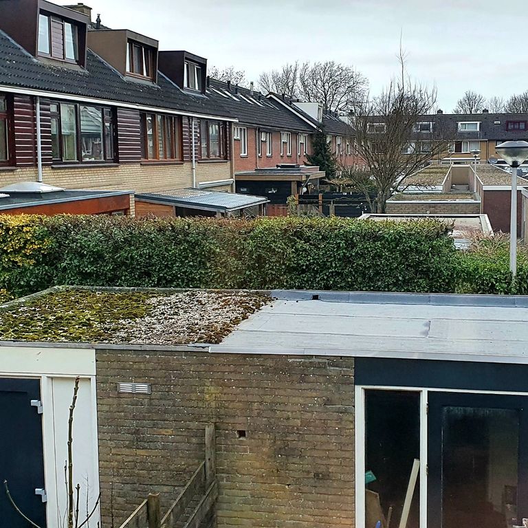 Dakrenovatie: Dakbedekking vervangen; Plat dak