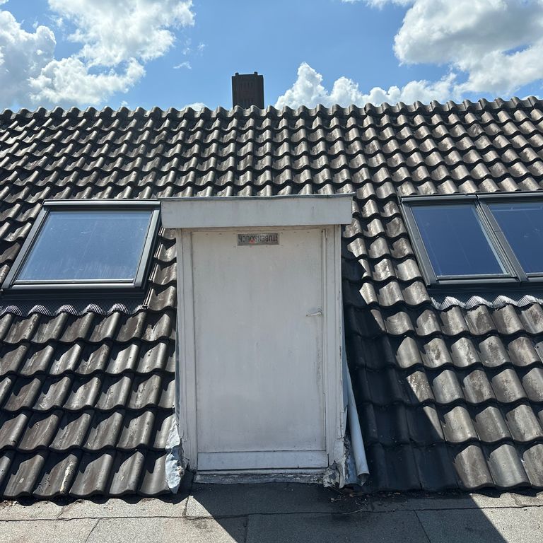 Dakraam of lichtkoepel plaatsen: 1 raam; Dakraam plaatsen