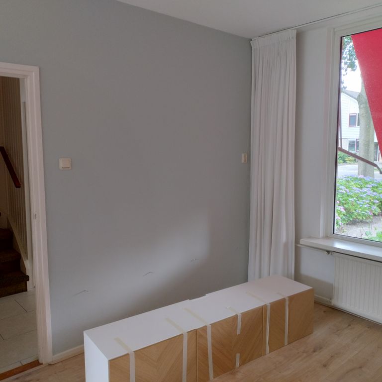 Renovlies behang: 35 m²; 2 kamers