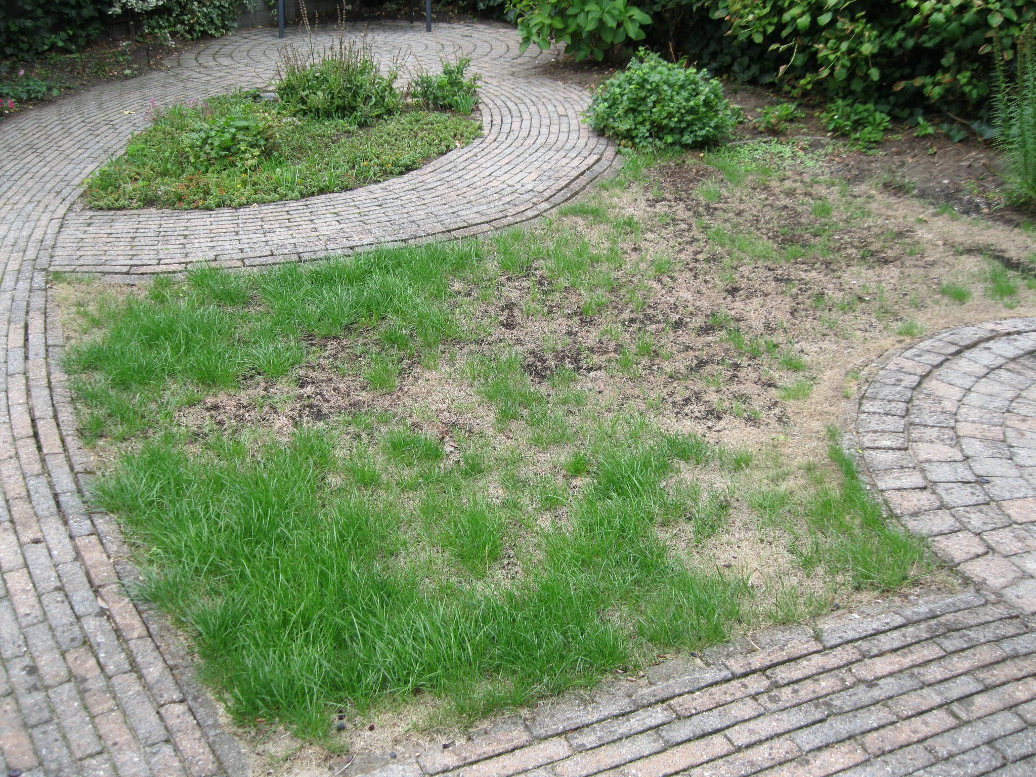 Nieuwe gazon aanleggen en oude verwijderen Werkspot