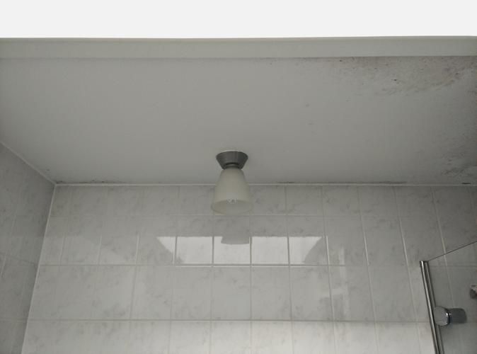 Schimmelvrij Plafond In Vochtige Badkamer Tips En Trucs