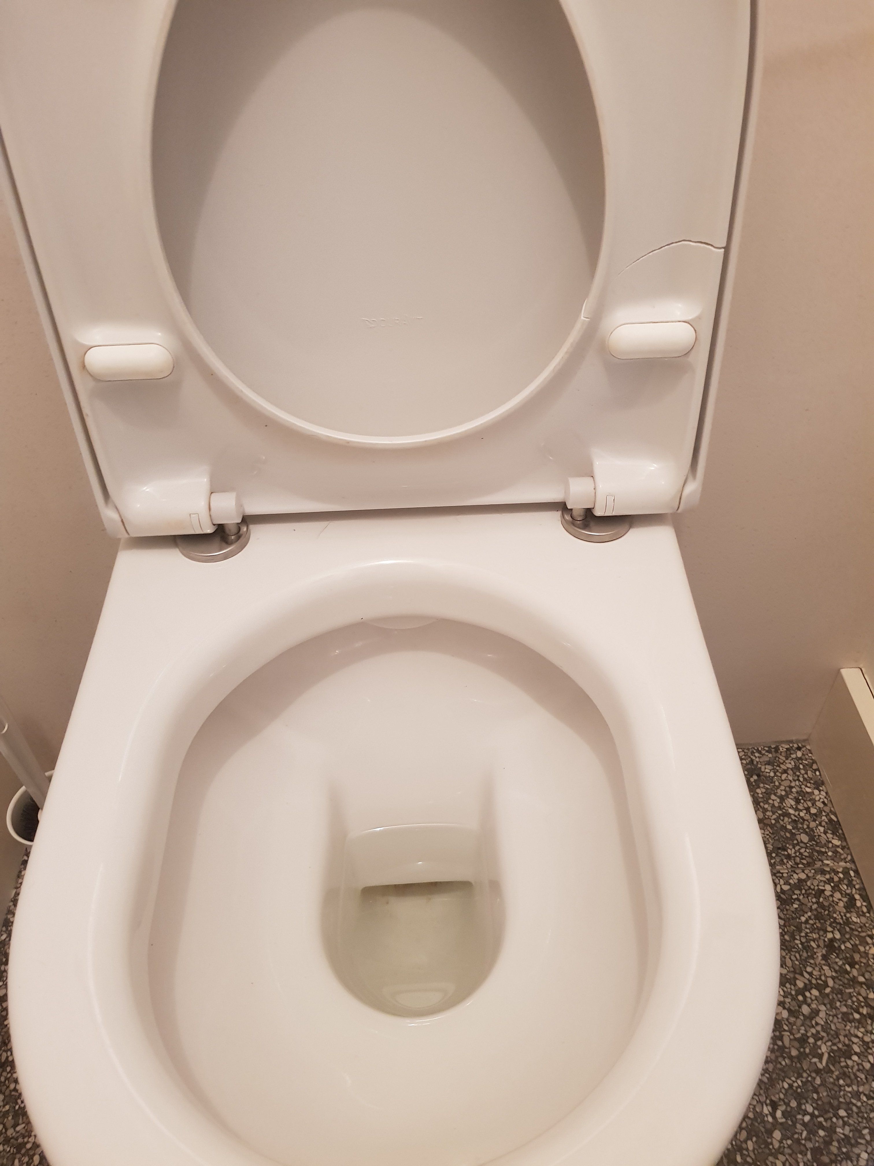 Blind Legende haai Toilet repareren: Duravit WC bril vervangen - Werkspot