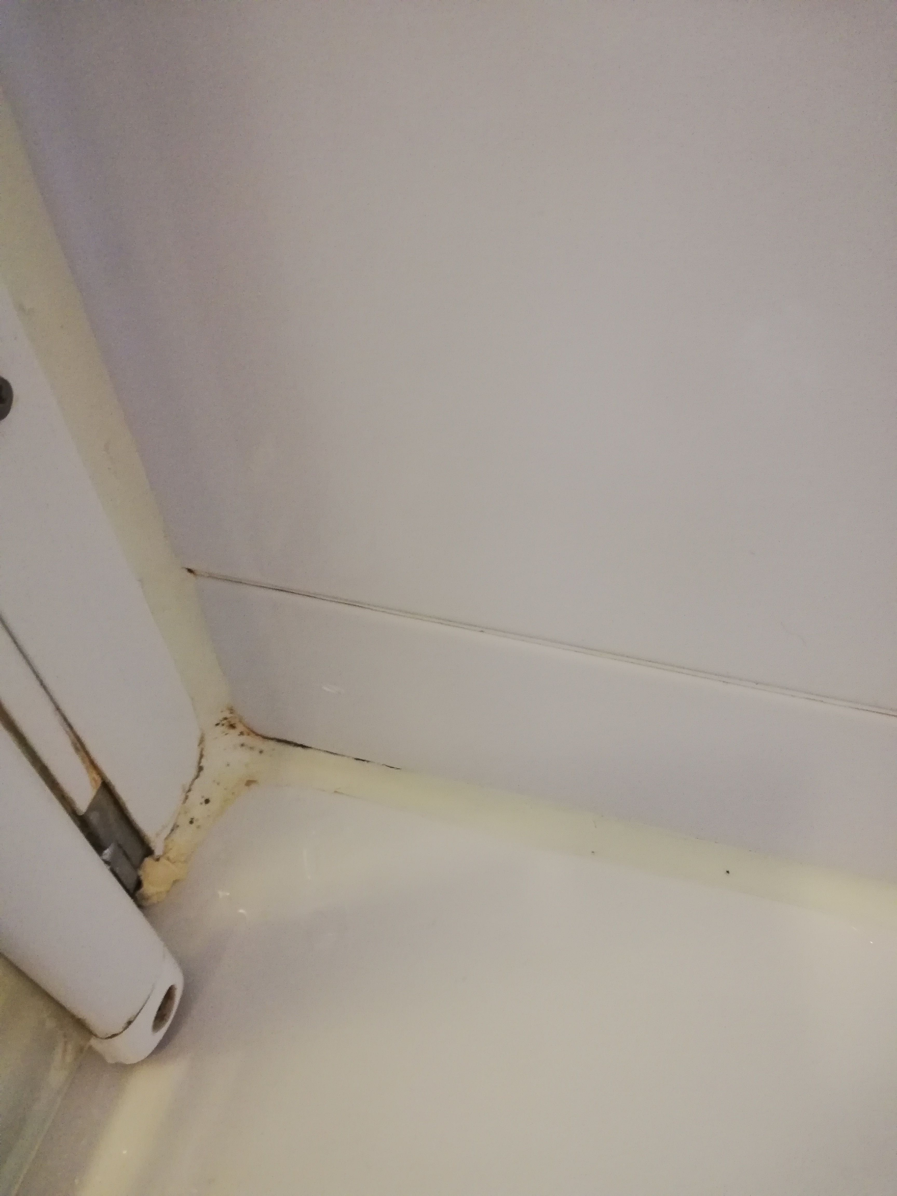 Badkamer Vervangen kitrand, reparatie voegen van douchecabine Werkspot