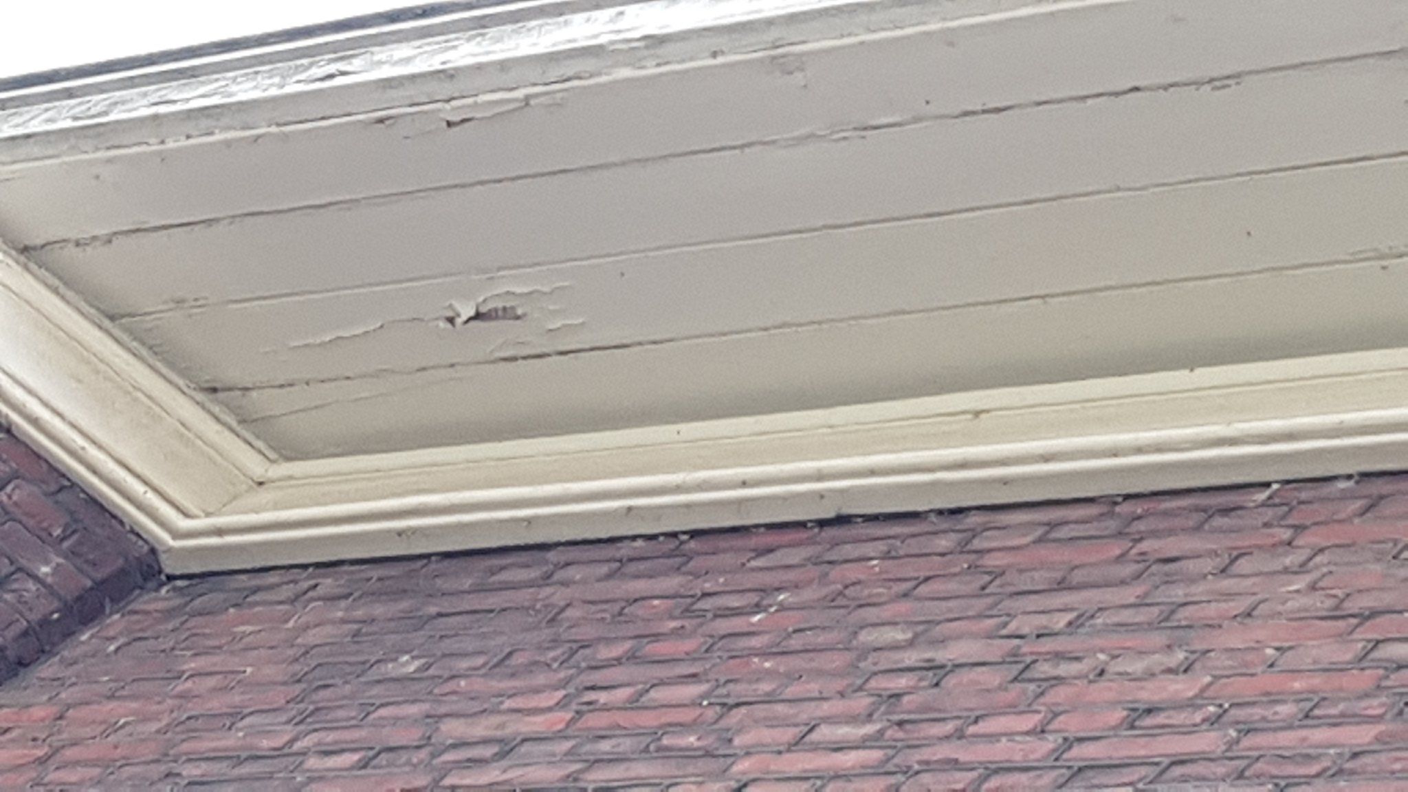 Wood rot under gutters needs repair/replacement Werkspot