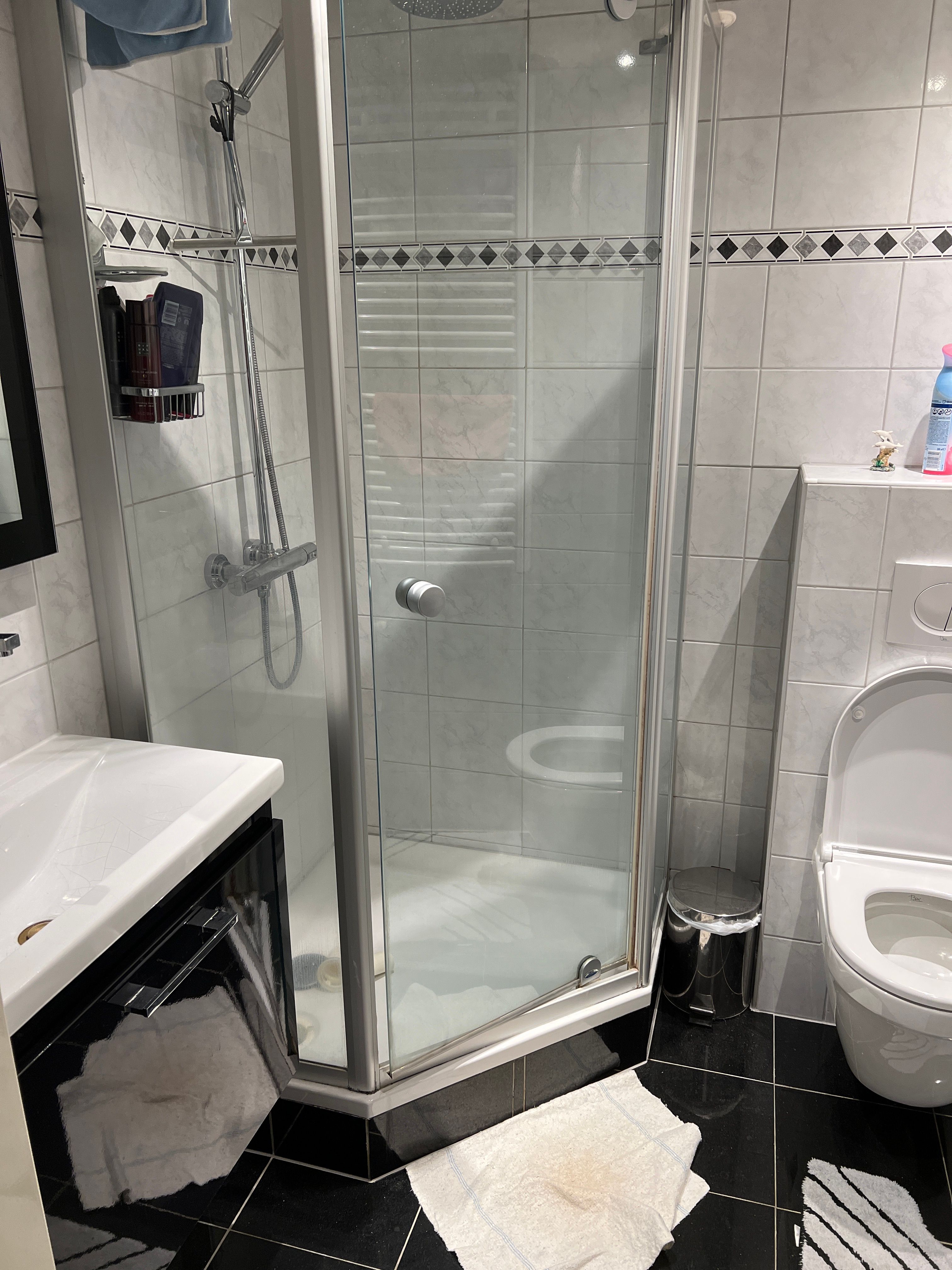 Sanitair plaatsen of vervangen Douche, Vernieuwen douchecabine; Sa