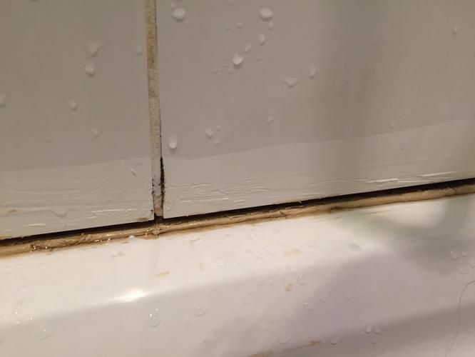 Verzakte douchebak herstellen en kitten Werkspot