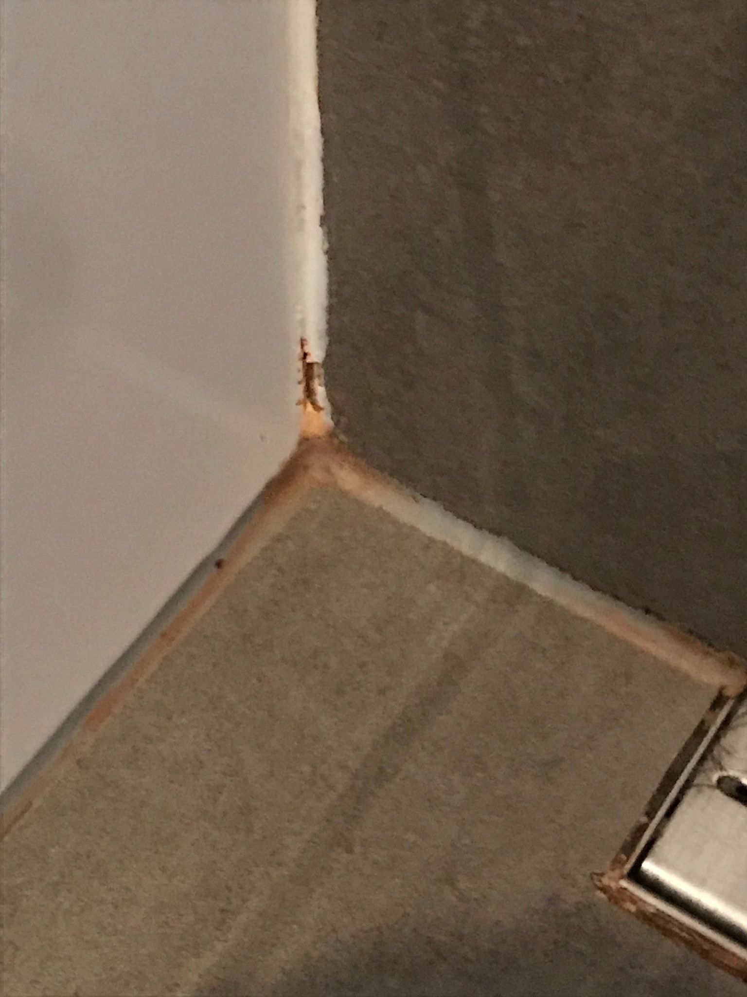 Kitrand in douche verwijderen en opnieuw plaatsen Werkspot