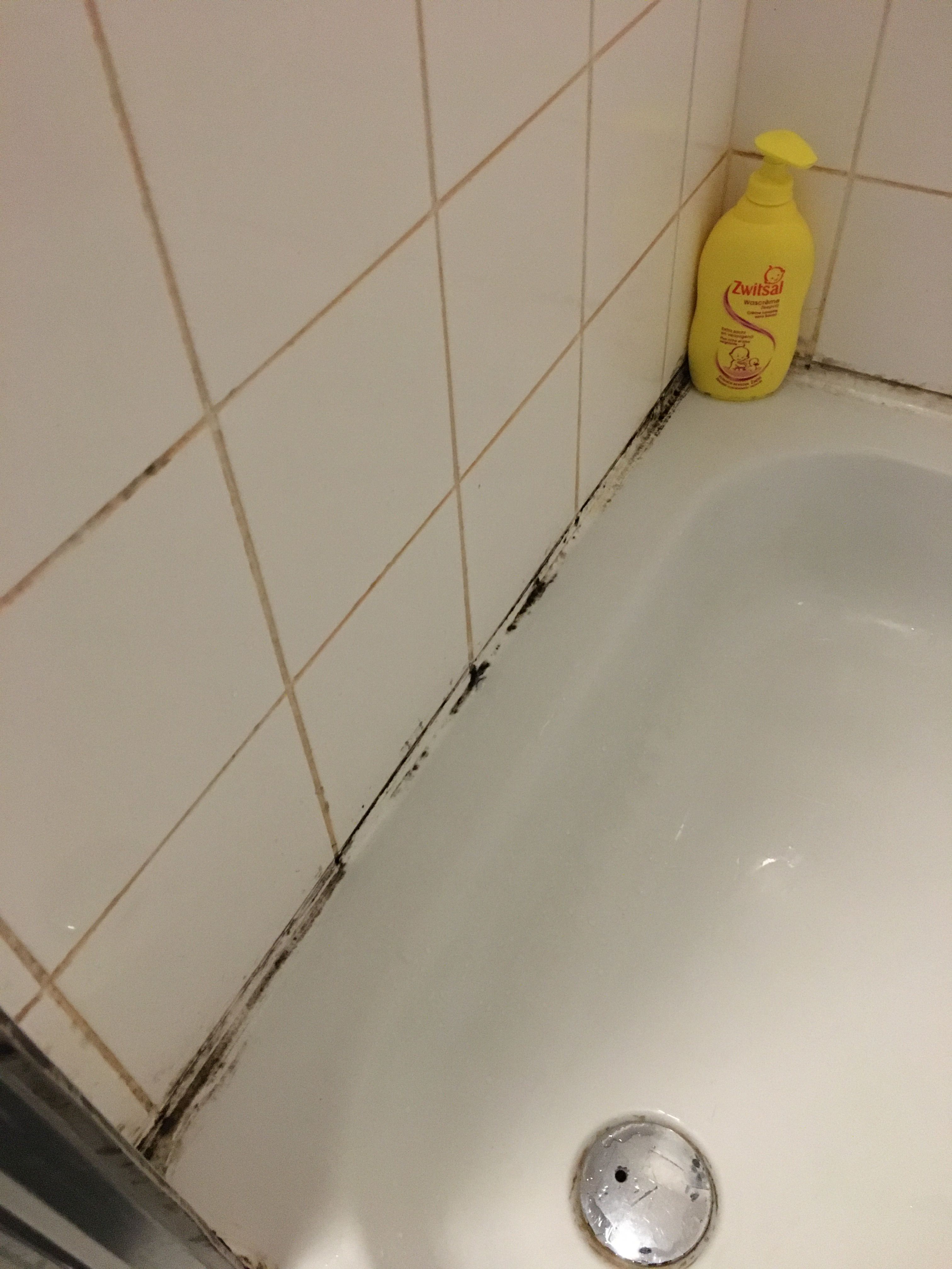 Kitten Douche, Tegels Werkspot