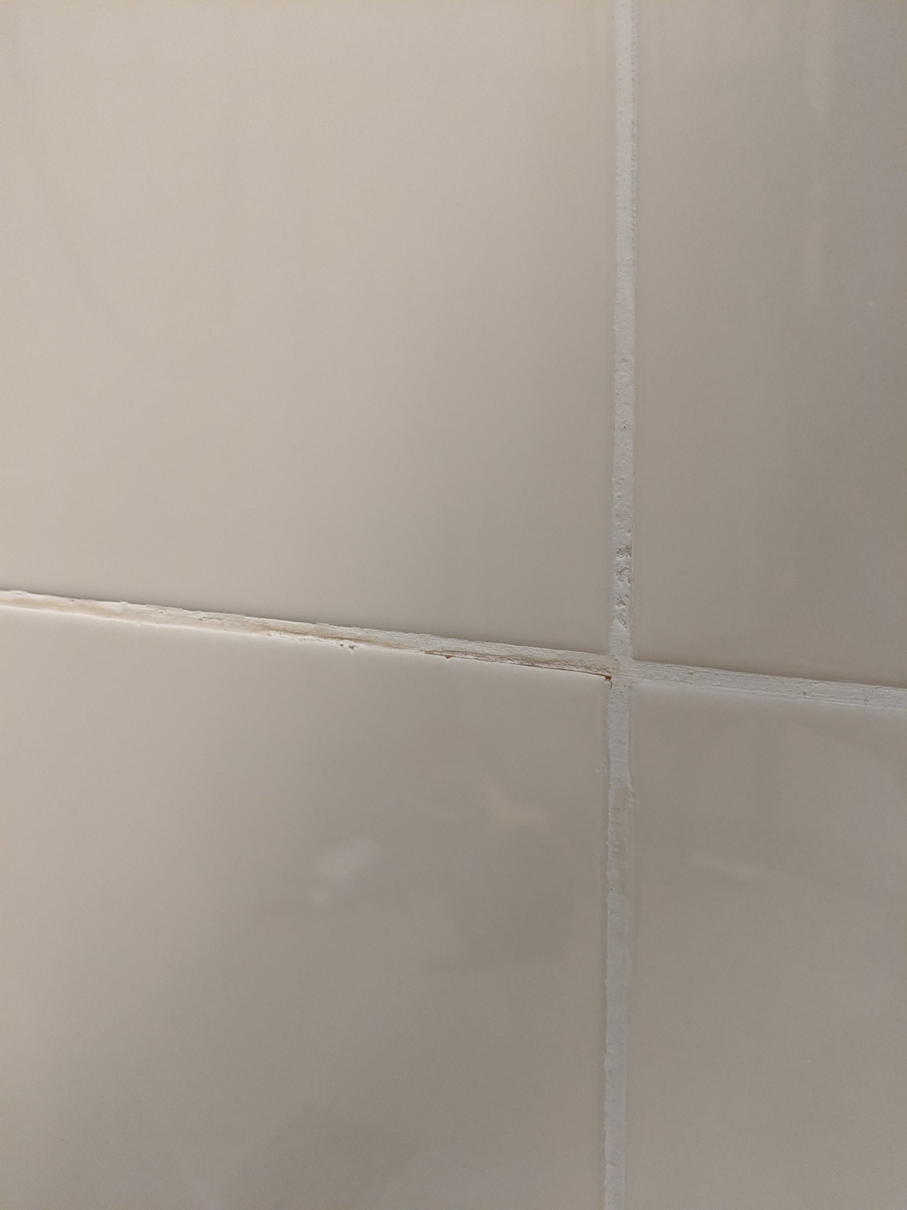 Kitten Douche, Tegels Werkspot