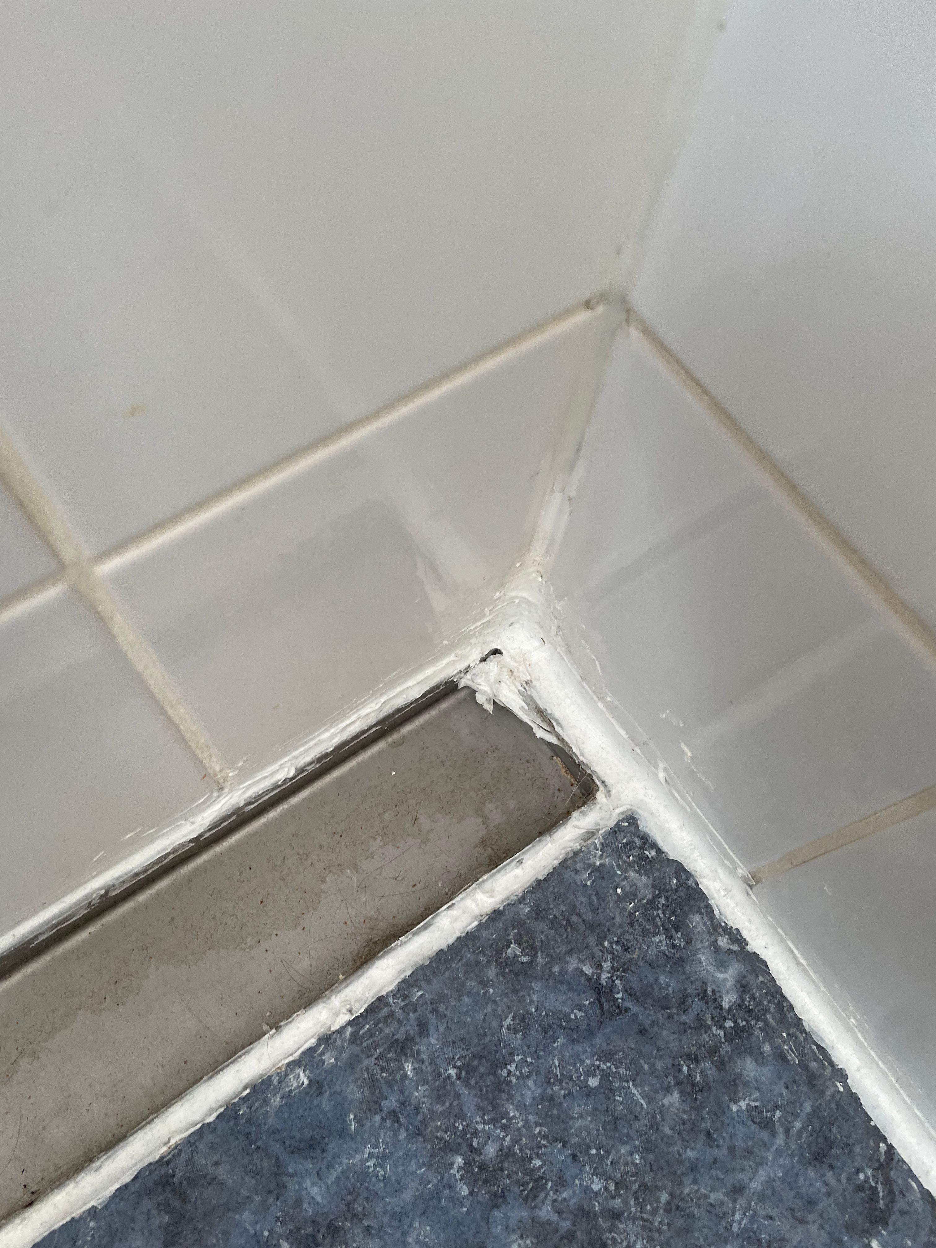 Lekkage Voegen en kitranden Werkspot