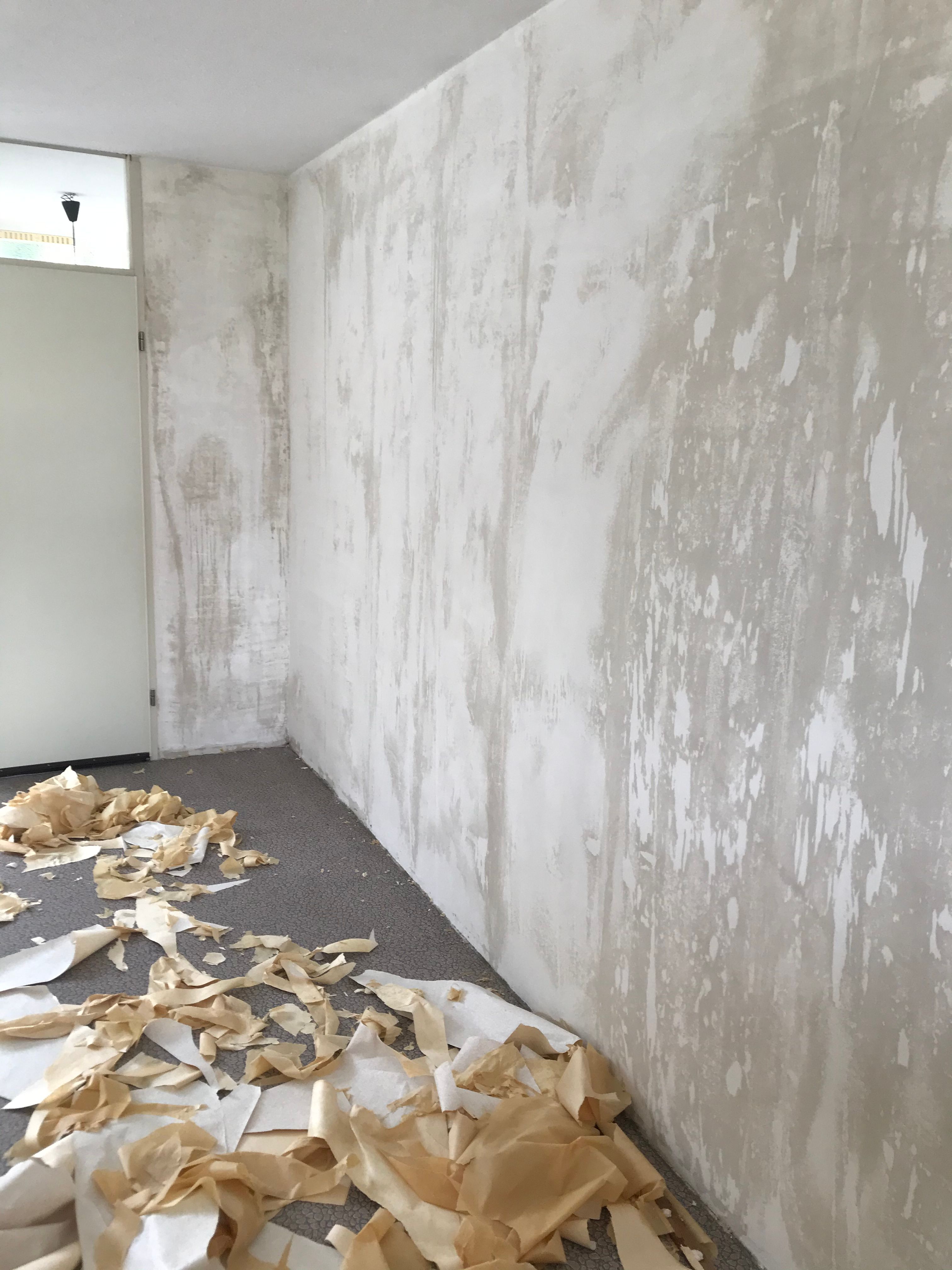 Renovlies behang 100 m2; 5 kamers Werkspot