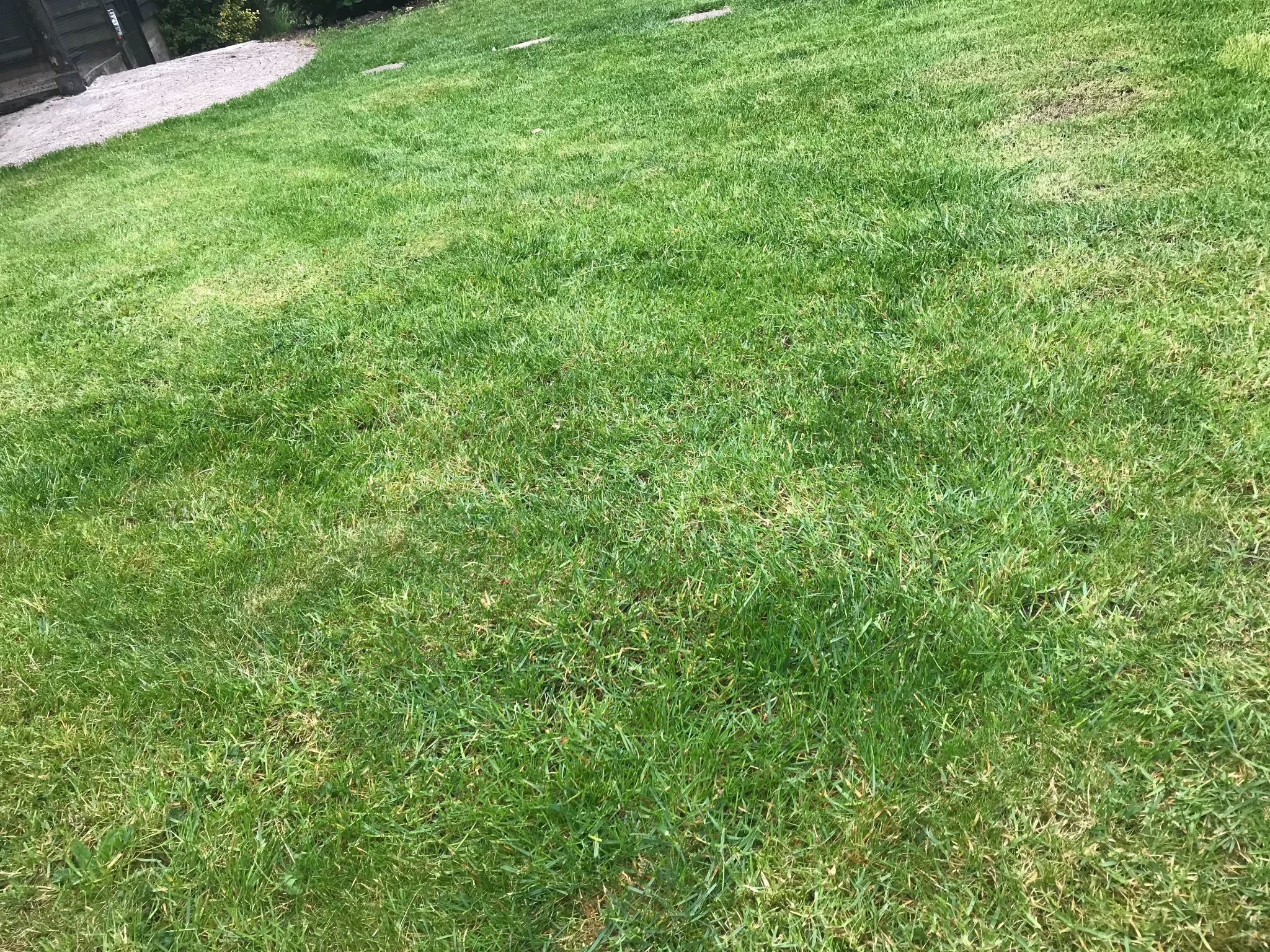 Gazon egaliseren of opnieuw aanleggen Werkspot