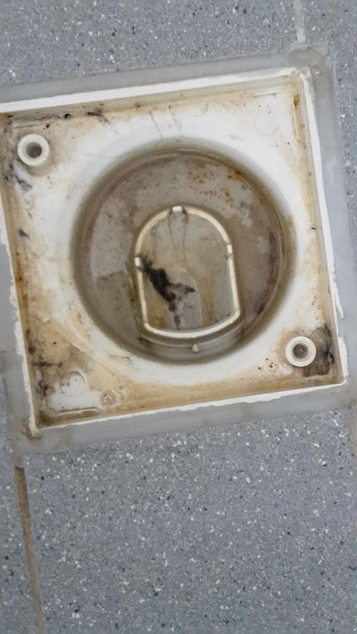 stank uit doucheputje Werkspot