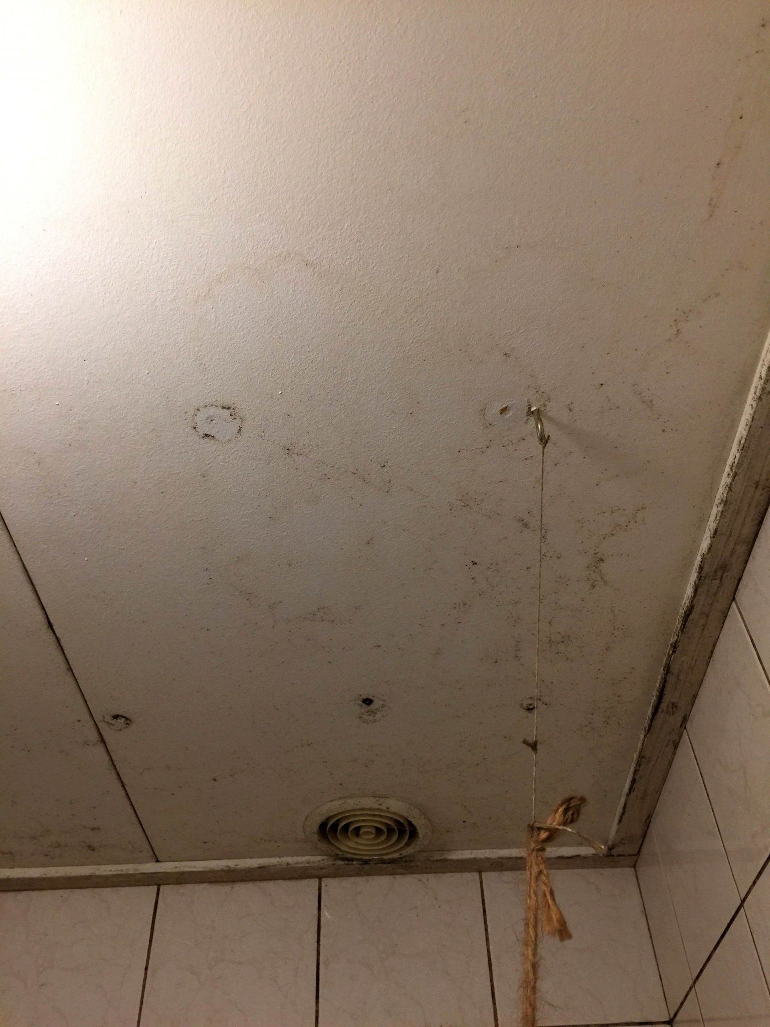 Verfrissend Douchen Met Onze Ventilator Badkamer Plafond