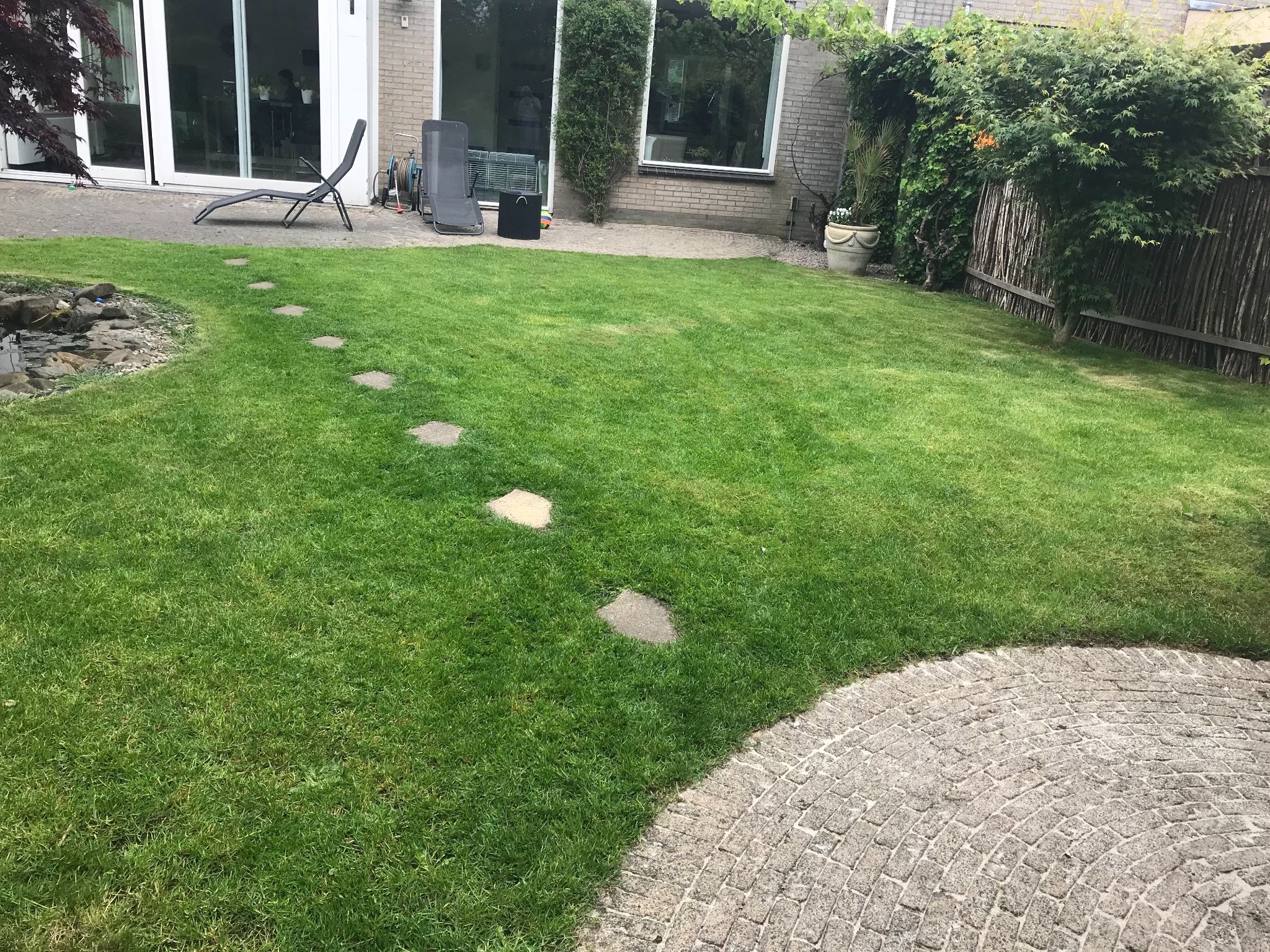 Gazon egaliseren of opnieuw aanleggen Werkspot