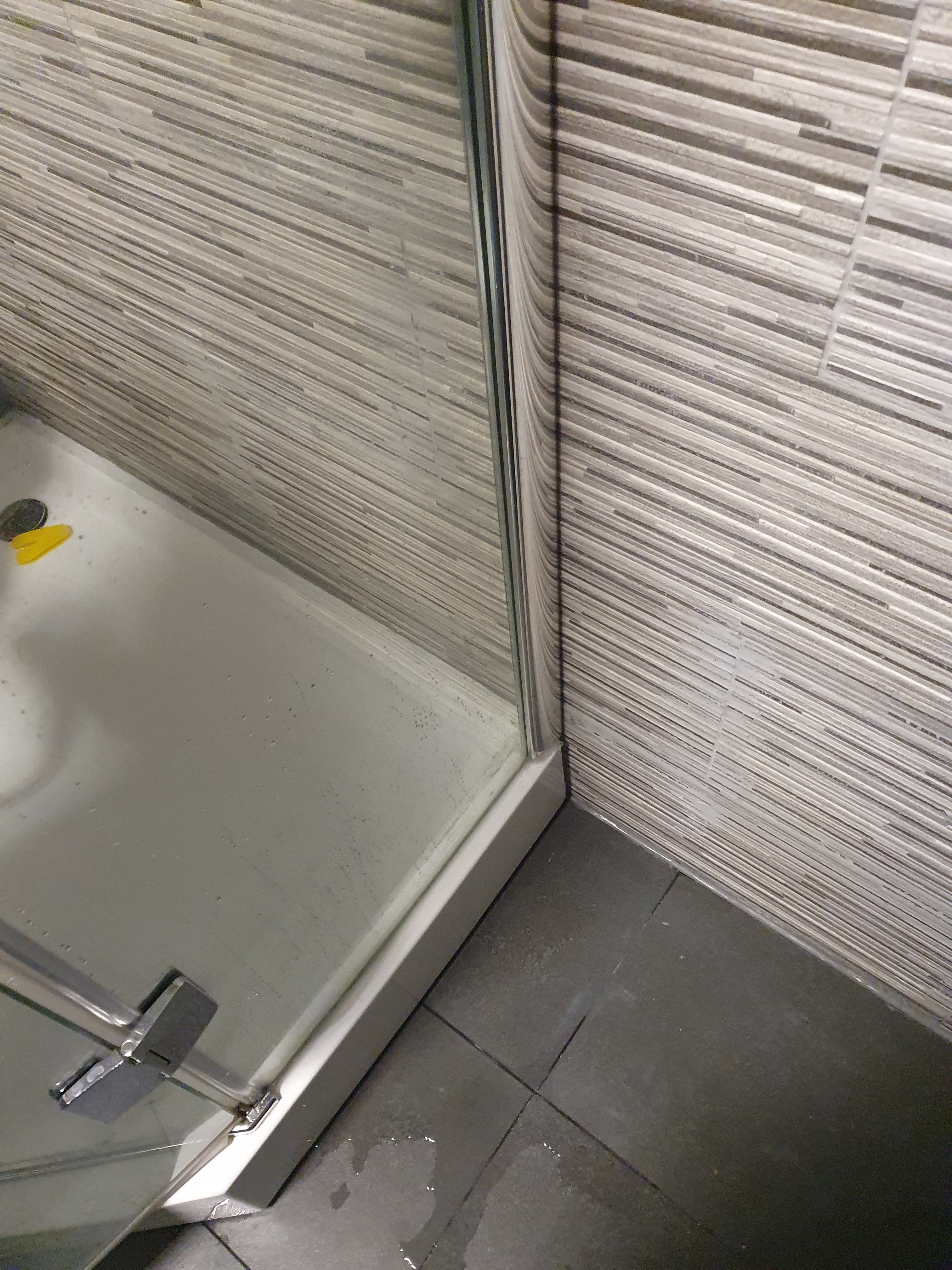 Kitten Douche, Tegels Werkspot