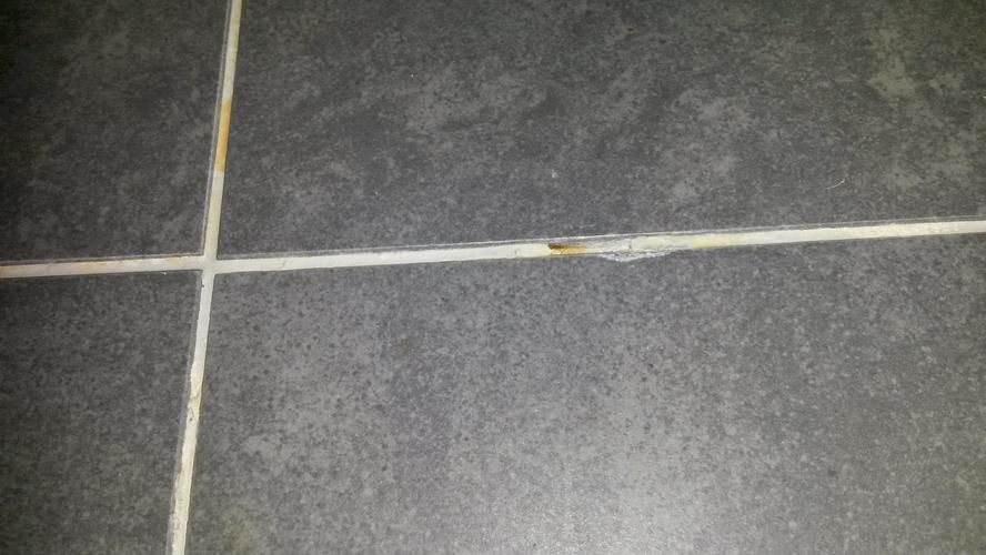 Vervangen kitrand douchegoot + bijwerken klein stukje voeg Werkspot