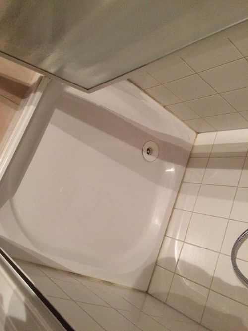 opnieuw kitten van de douche Werkspot