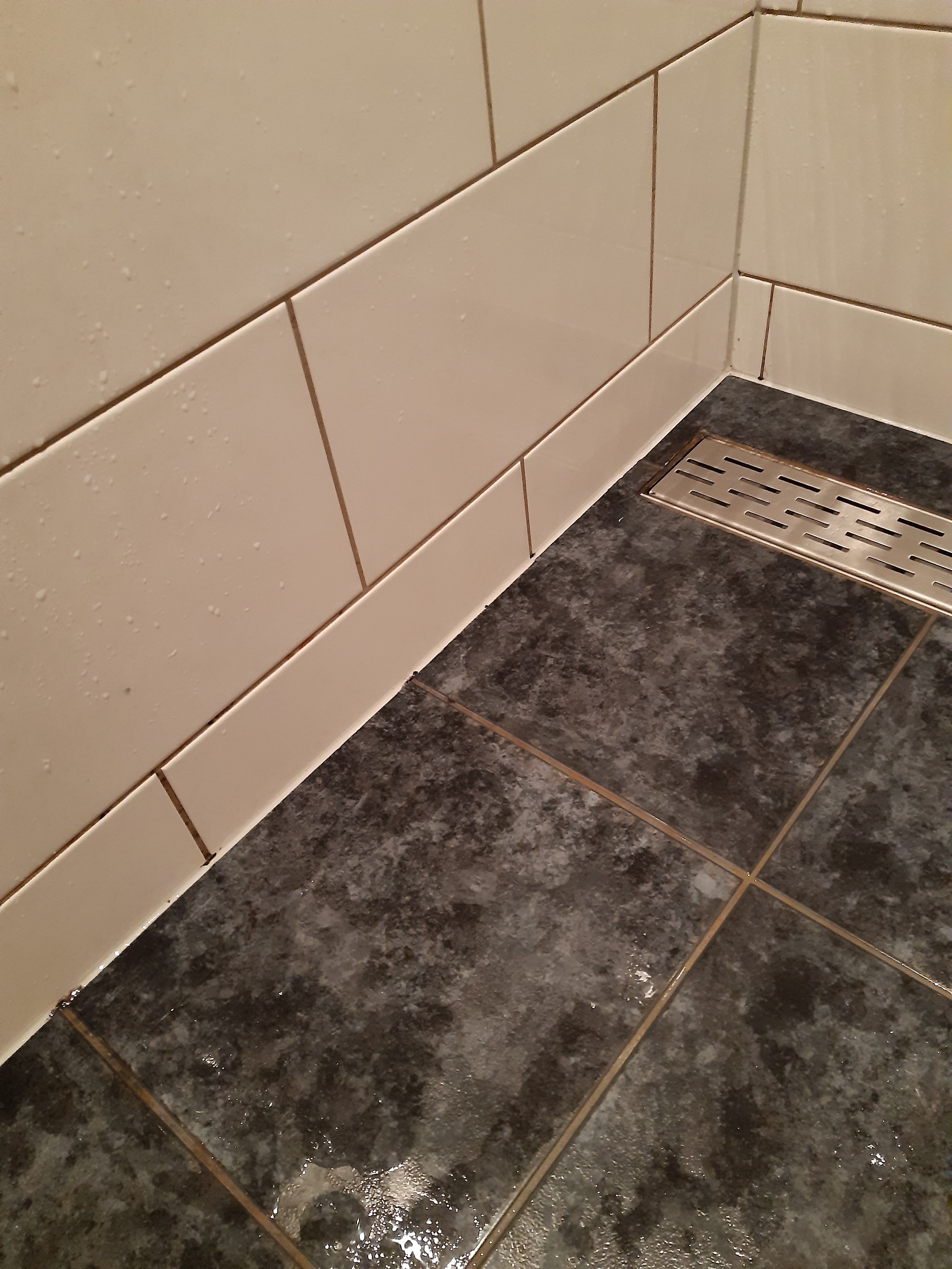 Kitten Douche Werkspot