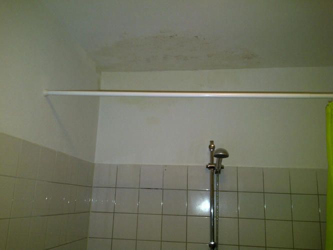 Lekkage plafond Werkspot