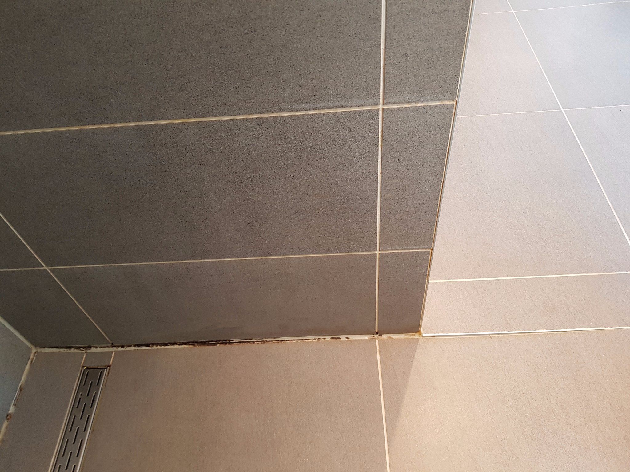 Kit randen douche vervangen Werkspot