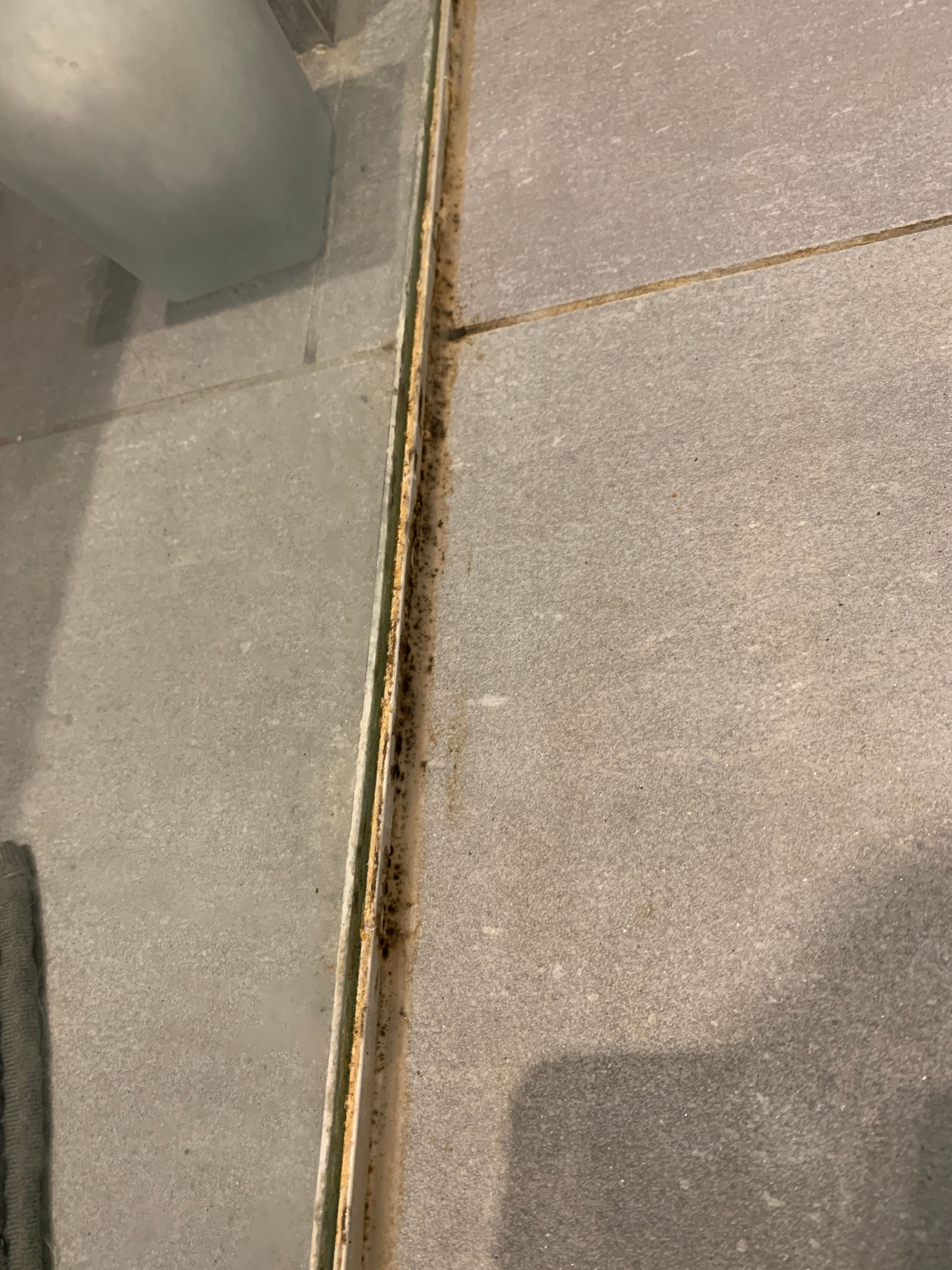 Kitten Douche Werkspot