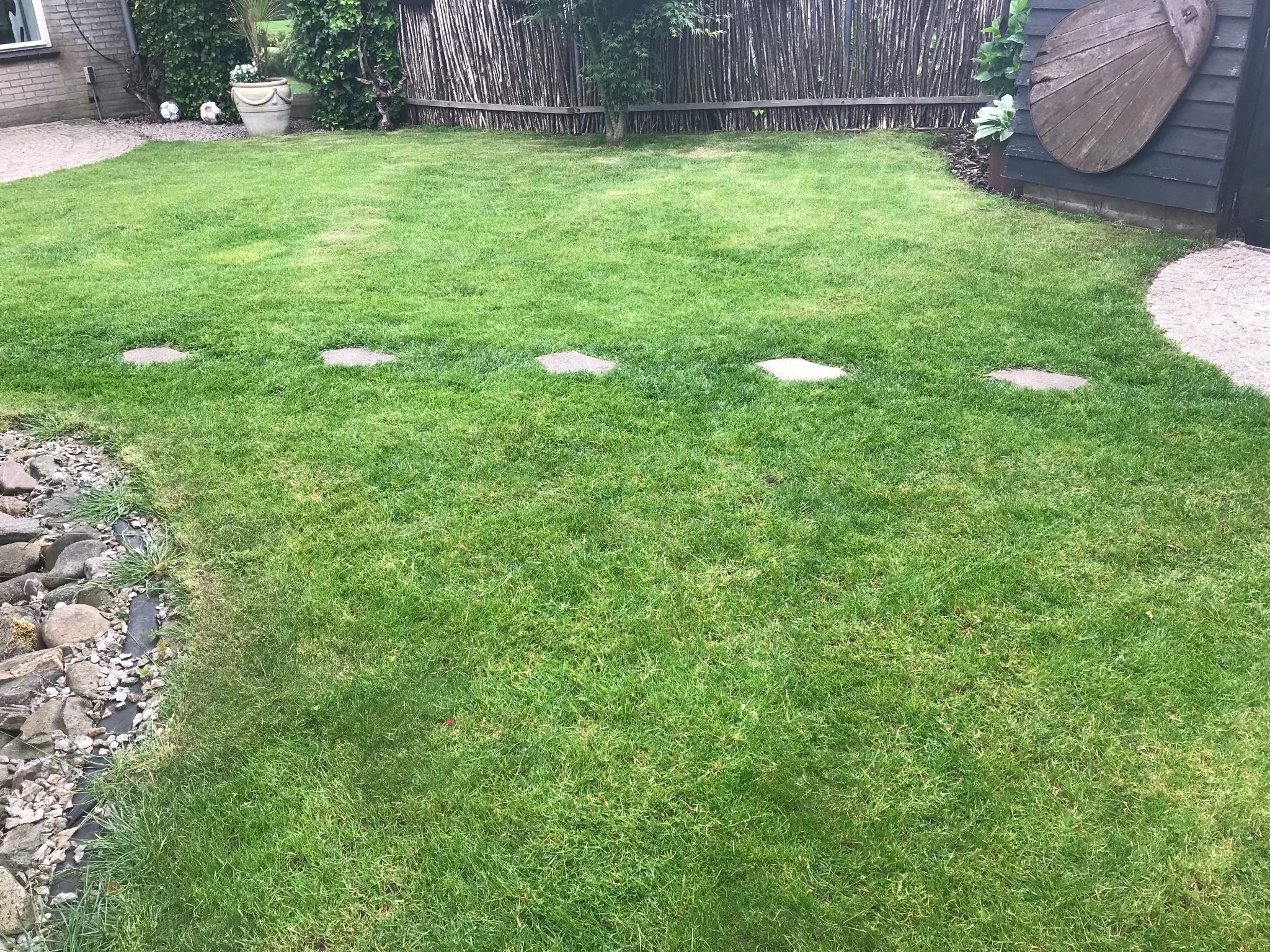 Gazon egaliseren of opnieuw aanleggen Werkspot