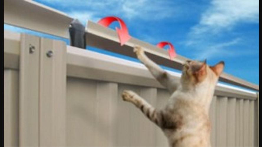 Systeem voor kat in tuin te houden. Werkspot