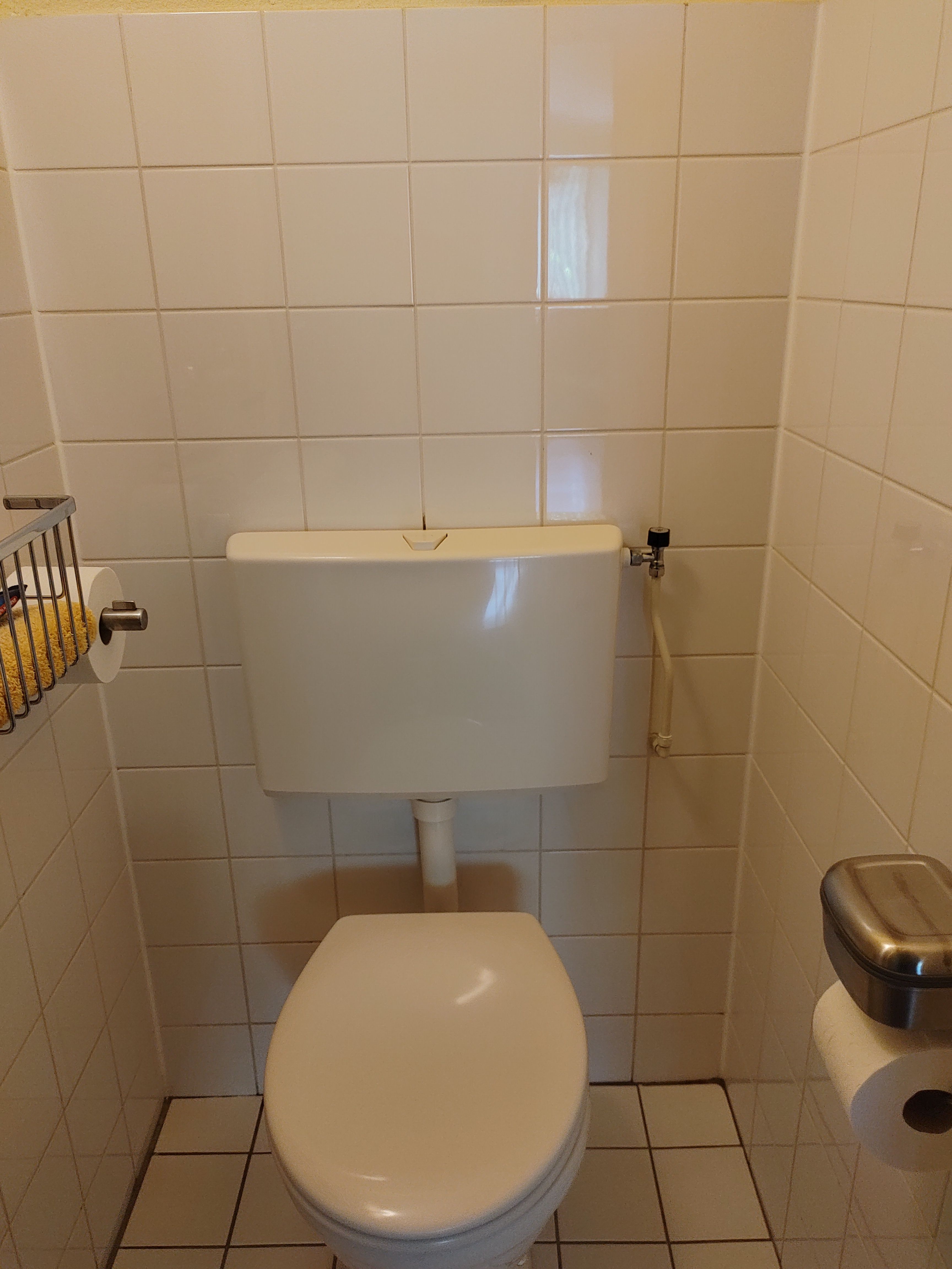 Toilet repareren Vervangen spoelbak blijft stromen, rubber diver