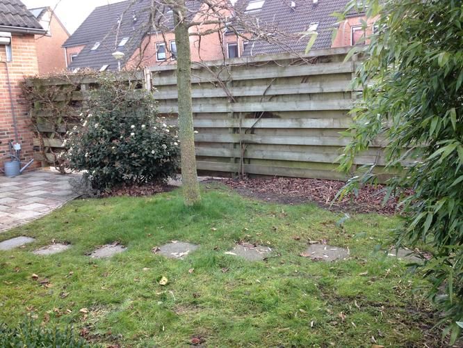 Gazon vernieuwen (oude gazon verwijderen en nieuwe zoden leggen) 25 m2