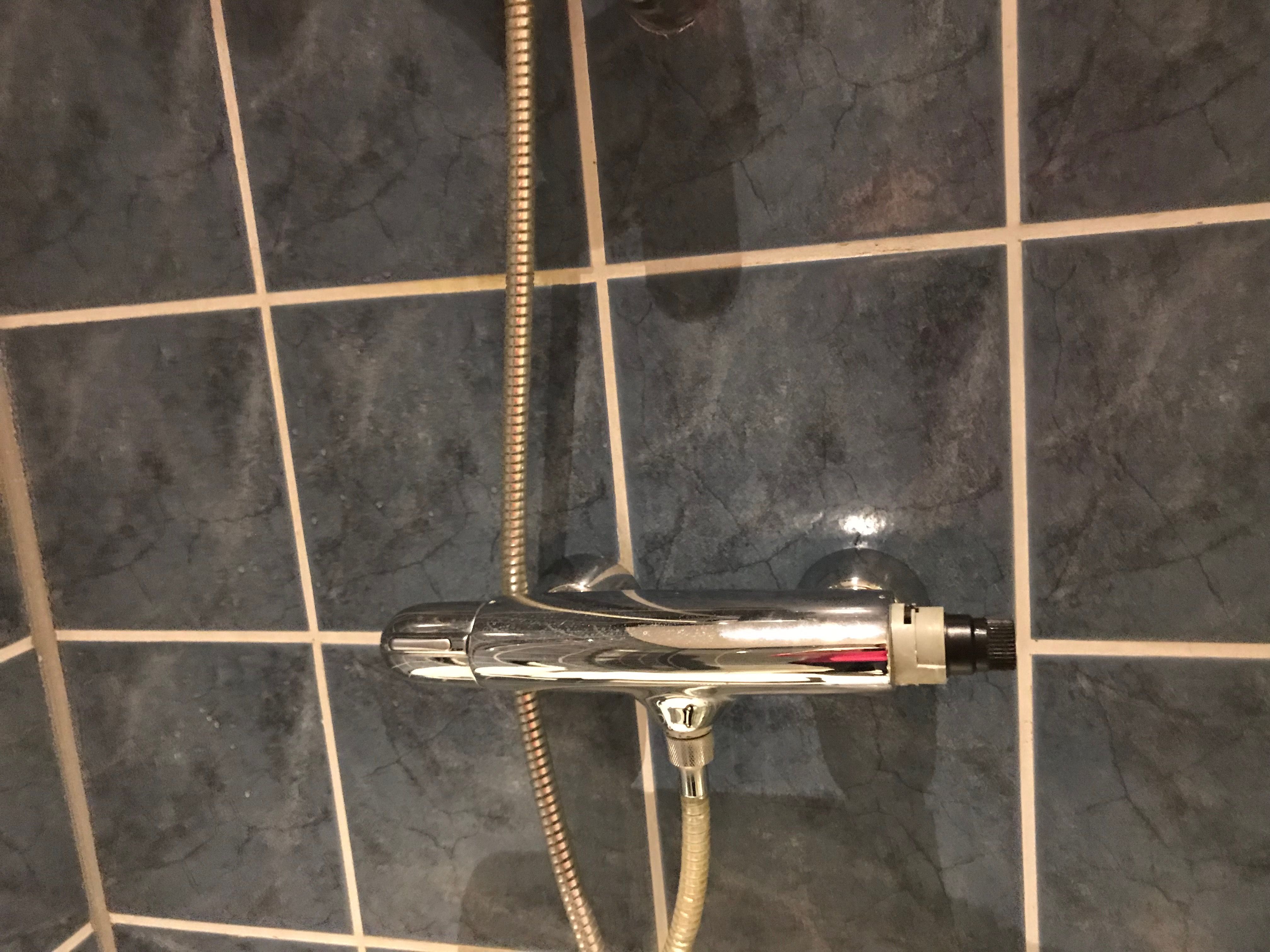 Thermische douchekraan repareren Werkspot