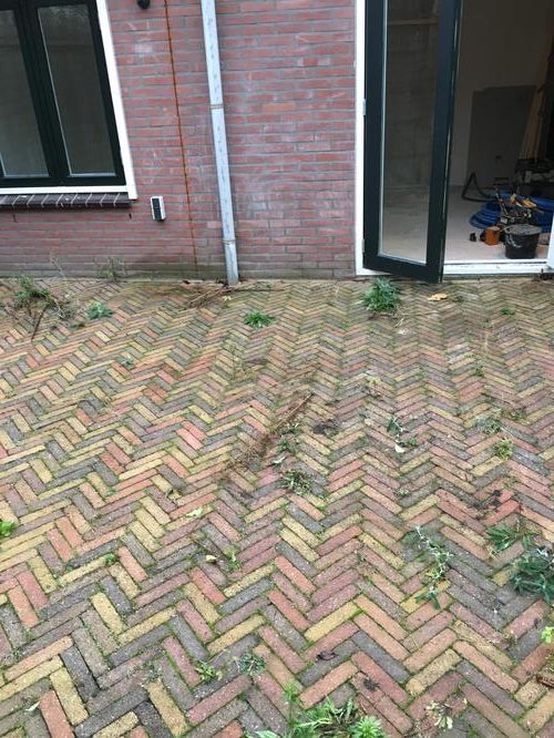 Tuin stenen eruit halen en evt schutting en stenen plaatsen. Werkspot