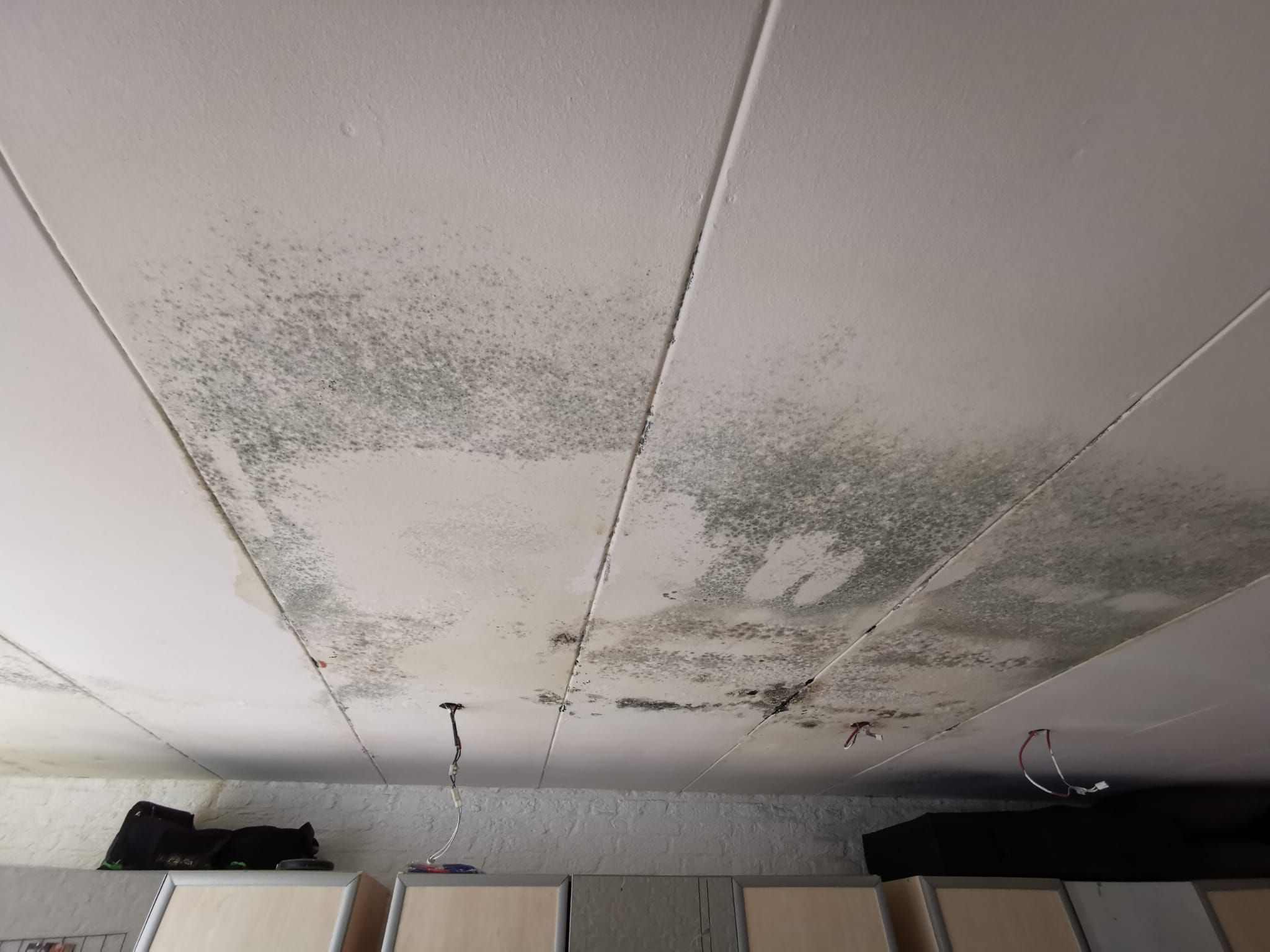 Plafond Plafond en muren vervangen/herstellen na lekkage Werkspot