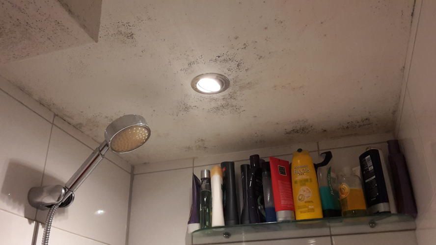 Schimmelvrij Plafond In Vochtige Badkamer Tips En Trucs