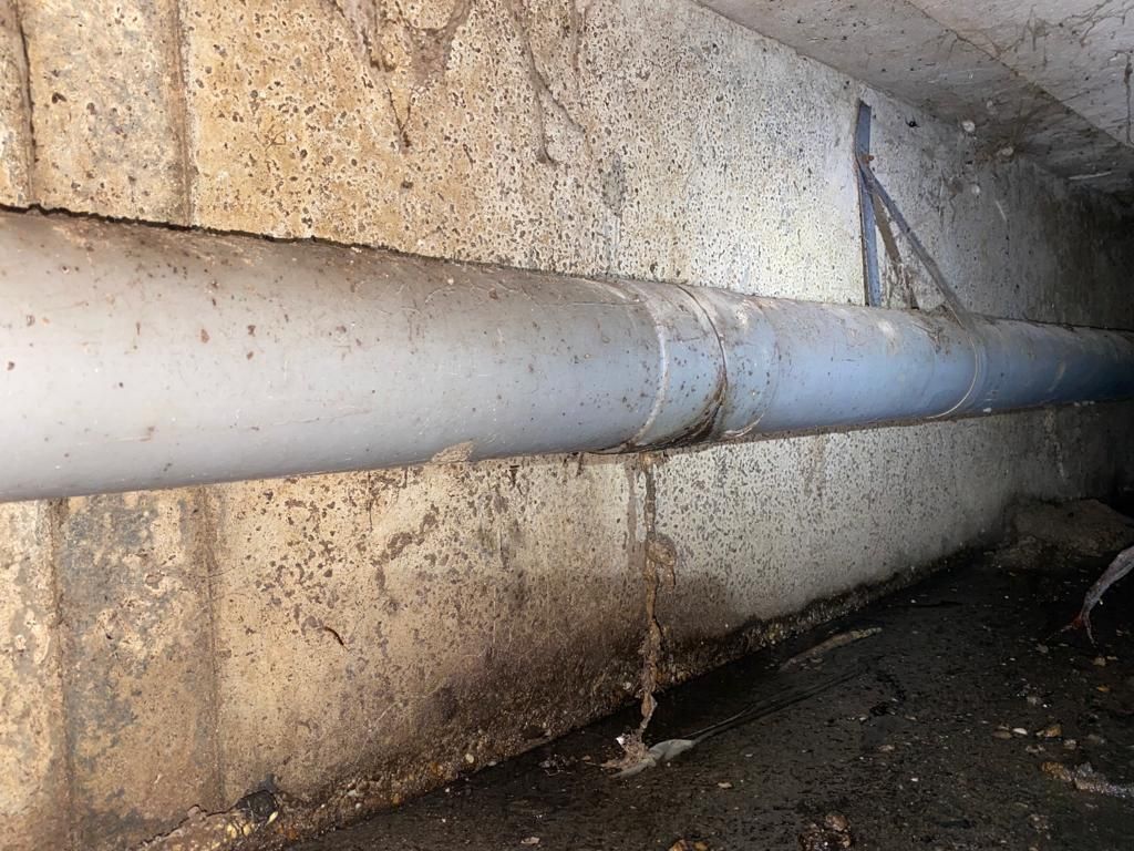 Waterleiding en riolering Riool lekt op las; Leidingen of afvoer Werkspot