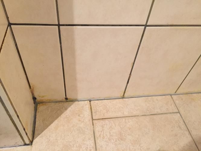 douche opnieuw voegen en waterdicht maken ivm slecht onderhoud vori