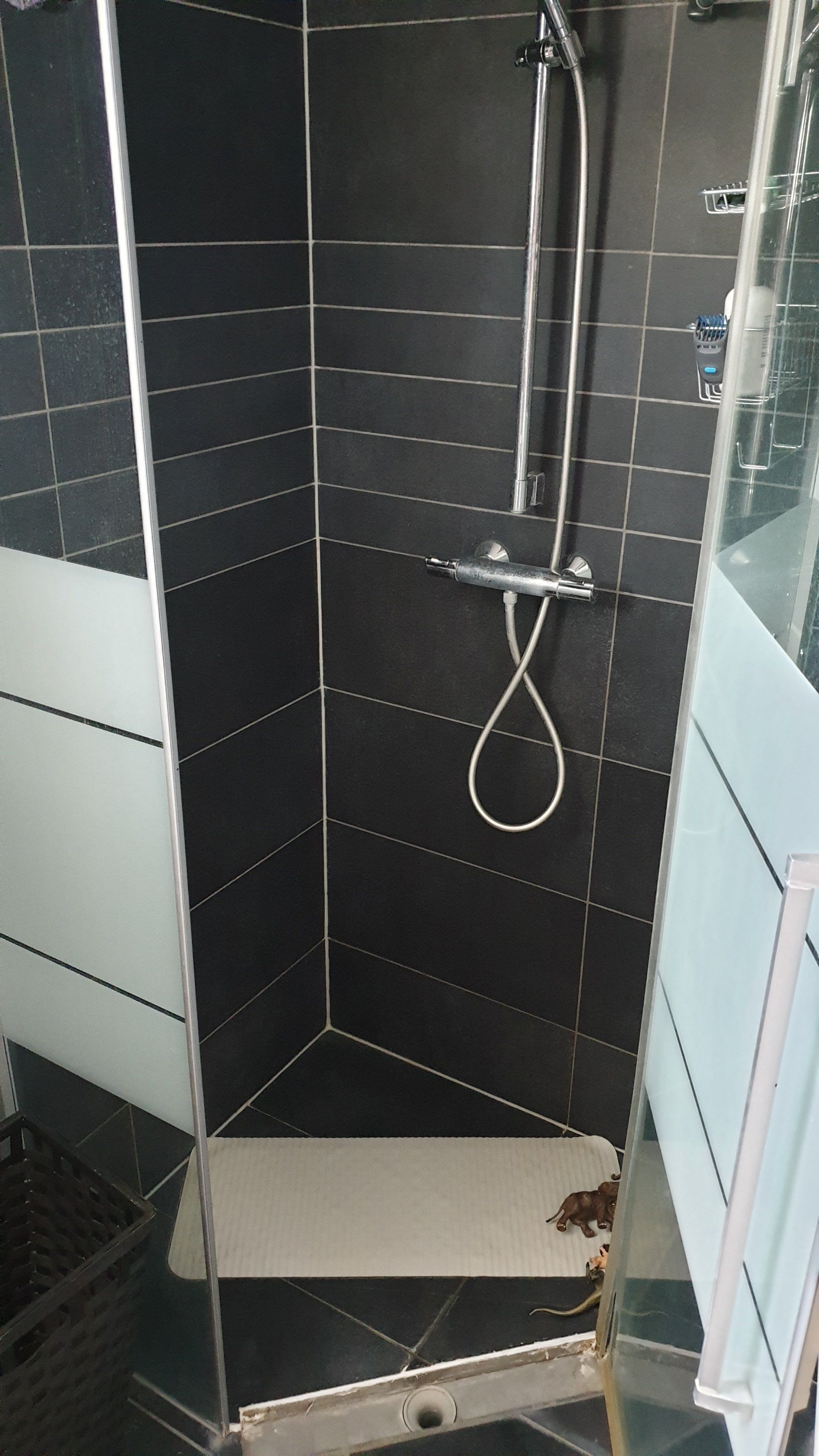 Kitten Douche, Tegels Werkspot