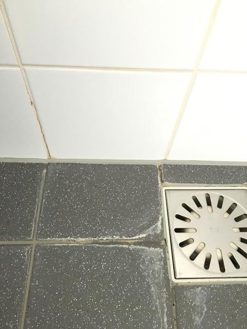 Voegen en kitten herstellen badkamer Werkspot