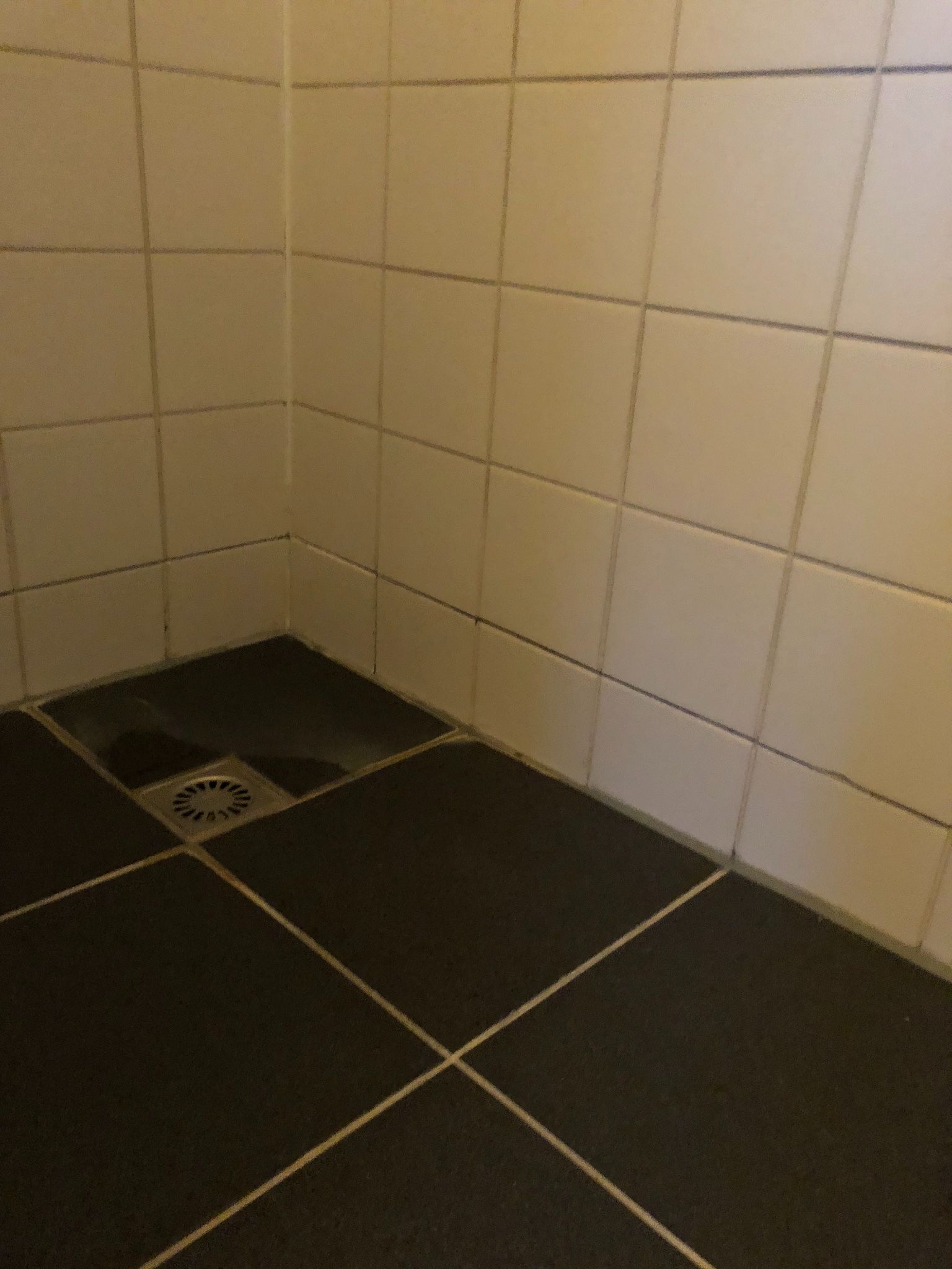 Opnieuw voegen en kitten inloopdouche Werkspot