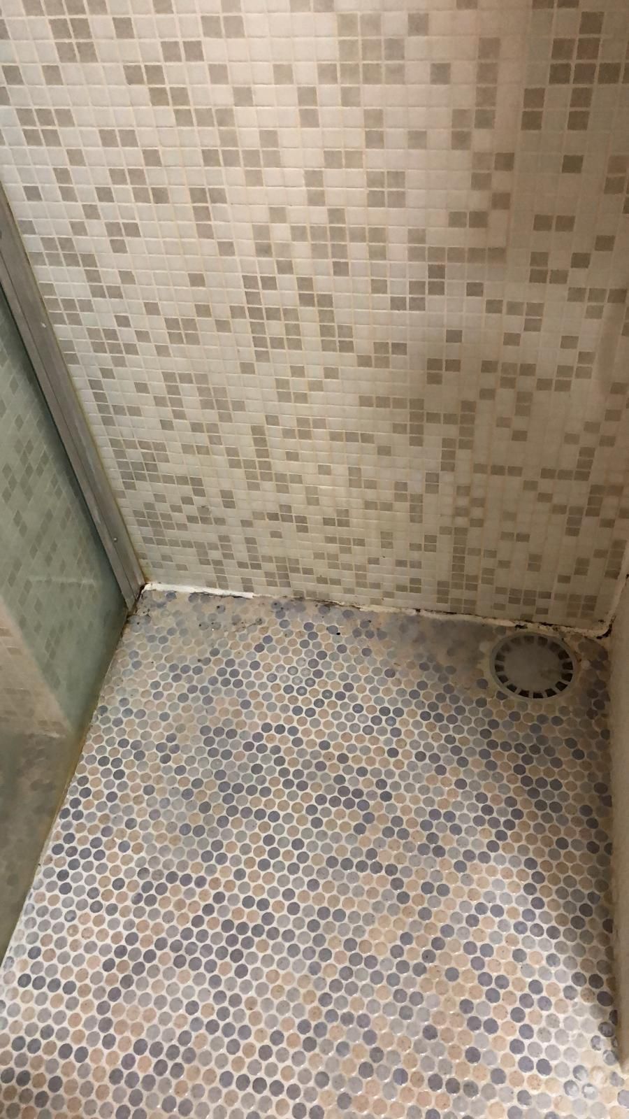 Kitten Douche, Tegels Werkspot